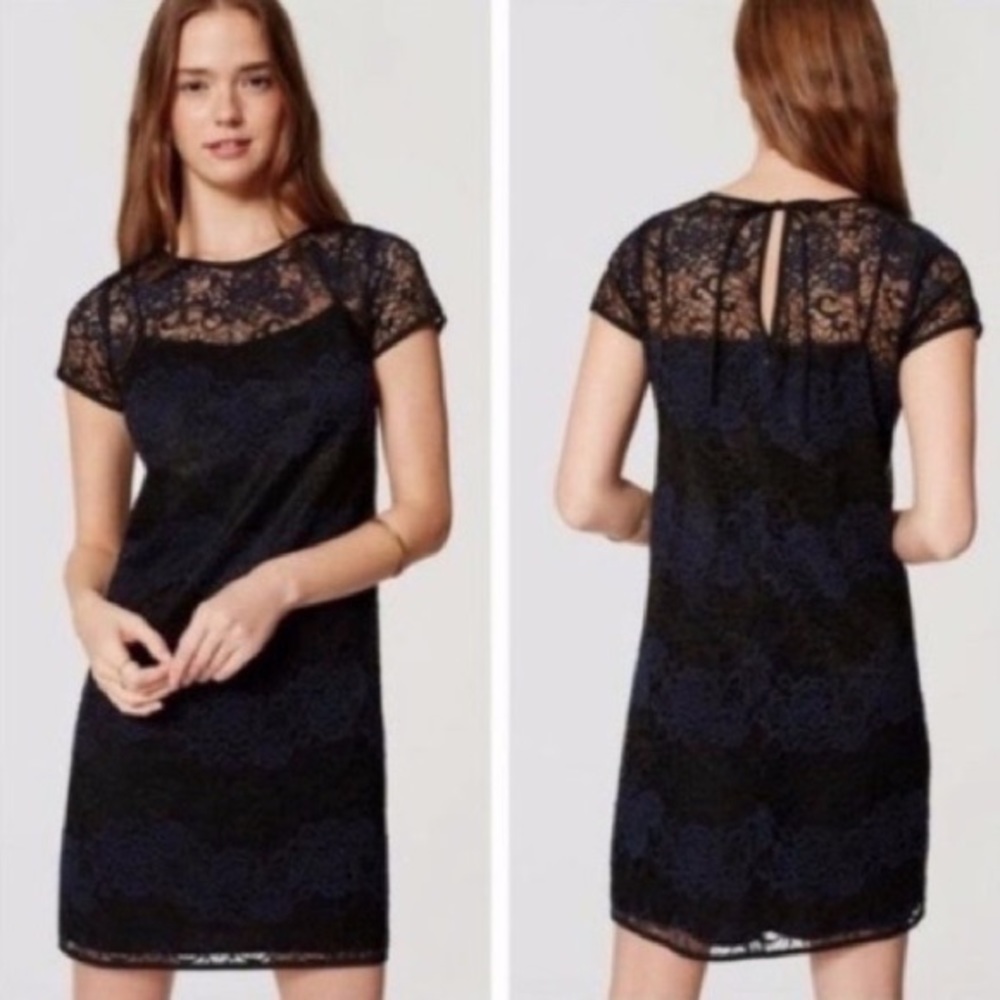 Ann Taylor Loft | Lace Shift Color Blocked Shift Dress